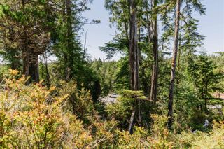 Photo 20: LOT B Hawkes Rd in Ucluelet: PA Ucluelet Land for sale (Port Alberni)  : MLS®# 942953