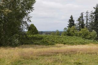 Photo 33: 21068 16 Avenue in Langley: Campbell Valley Agri-Business for sale : MLS®# C8058849