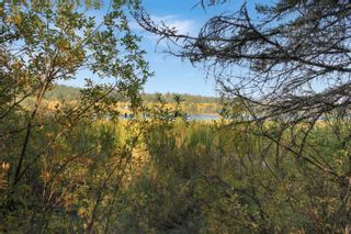 Photo 7: PROP LOT 8 BROWN Road in Bridge Lake: Bridge Lake/Sheridan Lake/Lac Des Roche Land for sale in "Country Ridge Estates" (100 Mile House)  : MLS®# R2881053