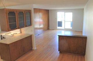 Photo 9: 603 54 Avenue SW in Calgary: Windsor Park Semi Detached (Half Duplex) for sale : MLS®# A1245443