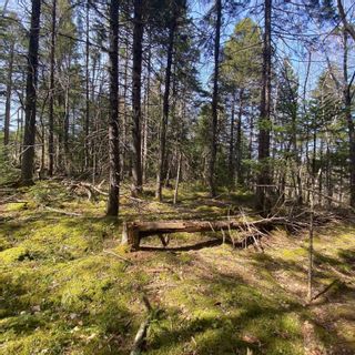 Photo 5: Lot 9 Old Trunk Highway 3 in Hebbs Cross: 405-Lunenburg County Vacant Land for sale (South Shore)  : MLS®# 202400895