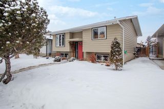 Photo 3: 4131 Doverview Drive SE in Calgary: Dover Detached for sale : MLS®# A1063702