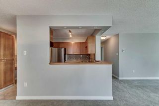 Photo 8: 5D 133 25 Avenue SW in Calgary: Mission Apartment for sale : MLS®# A2068257