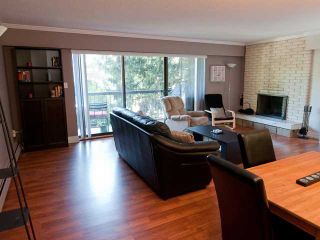 Photo 2: 207 3264 OAK Street in Vancouver: Cambie Condo for sale (Vancouver West)  : MLS®# V829766