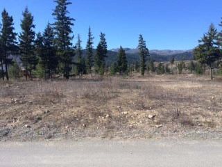 Main Photo: 589 MCLEAN ROAD in : Barriere Lots/Acreage for sale (North East)  : MLS®# 131670