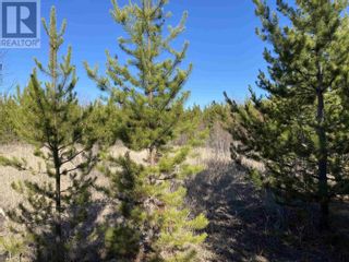 Photo 23: Lot B LONE BUTTE HORSE LAKE ROAD in 100 Mile House: Vacant Land for sale : MLS®# R2870362