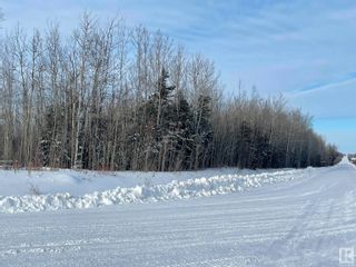 Photo 20: TWP RD 613A RGE RD 234: Rural Westlock County Rural Land/Vacant Lot for sale : MLS®# E4276161