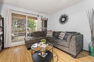 Photo 15: 124 35 Richard Court SW in Calgary: Lincoln Park Apartment for sale : MLS®# A2050442