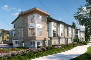 Main Photo: 19 - 8430 203A Street in Langley: Willoughby Heights Townhouse for rent