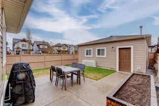 Photo 38: 2 Skyview Springs Rise NE in Calgary: Skyview Ranch Detached for sale : MLS®# A2129539