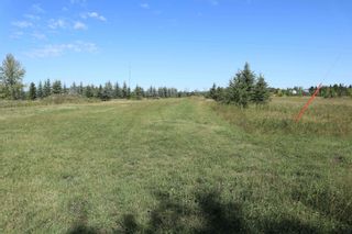 Photo 6: Hwy 622 RR 15: Rural Leduc County Rural Land/Vacant Lot for sale : MLS®# E4261453