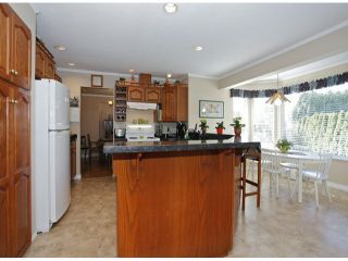 Photo 11: 1615 143B ST in Surrey: Sunnyside Park Surrey House for sale (South Surrey White Rock)  : MLS®# F1406922