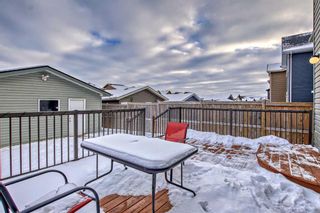 Photo 22: 74 Ravenswynd Rise SE: Airdrie Detached for sale : MLS®# A2098716