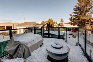 Photo 23: 1471 Lake Michigan Crescent SE in Calgary: Bonavista Downs Detached for sale : MLS®# A2017348