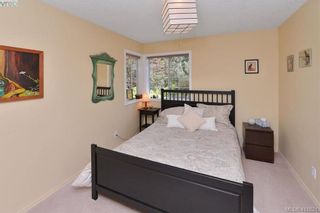 Photo 23: 6659 Wallace Dr in BRENTWOOD BAY: CS Brentwood Bay House for sale (Central Saanich)  : MLS®# 816501
