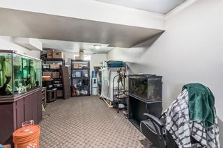 Photo 24: 205 Pineset Place NE in Calgary: Pineridge Semi Detached (Half Duplex) for sale : MLS®# A2052172