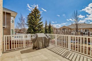 Photo 33: 203 Christie Park View SW in Calgary: Christie Park Detached for sale : MLS®# A2036072