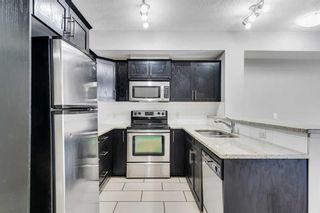 Photo 2: 106 117 19 Avenue NE in Calgary: Tuxedo Park Apartment for sale : MLS®# A2118272