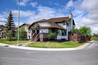 Photo 50: 160 Ventura Way NE in Calgary: Vista Heights Detached for sale : MLS®# A1225922