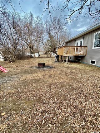 Photo 39: 370 Main Street in Briercrest: Residential for sale : MLS®# SK953281