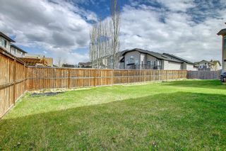 Photo 39: 112 WEST CREEK Meadow: Chestermere Detached for sale : MLS®# A1216075