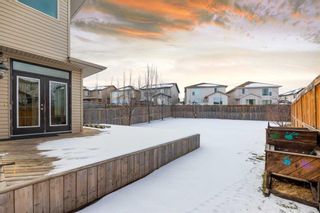 Photo 36: 677 Panatella Boulevard NW in Calgary: Panorama Hills Detached for sale : MLS®# A2107907