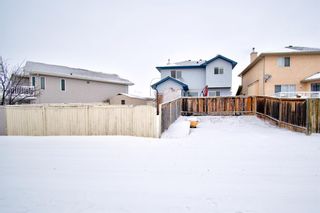 Photo 35: 131 Woodside Circle NW: Airdrie Detached for sale : MLS®# A1170202