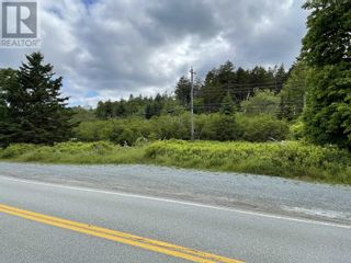 Photo 8: Lot Highway 331|PID#60723301/60611274 in Lahave: Vacant Land for sale : MLS®# 202400059