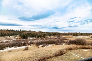 Photo 31: : Rural Clearwater County Detached for sale : MLS®# A2091854