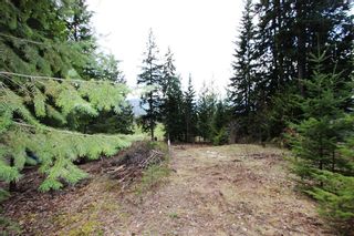 Photo 24: 99 Fraser Crescent: Anglemont Land Only for sale (North Shuswap)  : MLS®# 10097577