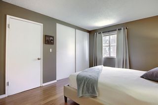 Photo 16: 78D 231 HERITAGE Drive SE in Calgary: Acadia Apartment for sale : MLS®# C4305999