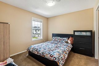 Photo 28: 145 Skyview Ranch Crescent NE in Calgary: Skyview Ranch Detached for sale : MLS®# A2143733