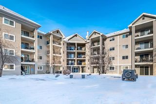 Main Photo: 4405 4975 130 Avenue SE in Calgary: McKenzie Towne Apartment for sale : MLS®# A2021737