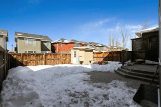 Photo 35: 79 Auburn Glen Heights SE in Calgary: Auburn Bay Detached for sale : MLS®# A2033028