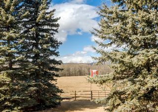 Photo 37: 184126 254 Avenue W: Rural Foothills County Detached for sale : MLS®# A2022246