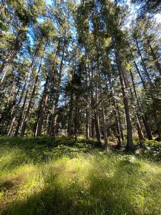 Photo 11: 723 TUMBO CHANNEL Road: Saturna Island Land for sale in "EastPoint Ocean Cottages" (Islands-Van. & Gulf)  : MLS®# R2703851