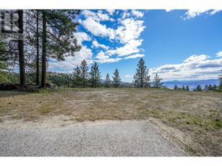 Photo 13: 222 Grizzly Place in Osoyoos: Vacant Land for sale : MLS®# 10310334