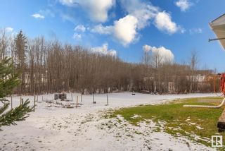 Photo 14: 20 1319 TWP RD 510: Rural Parkland County House for sale : MLS®# E4364020