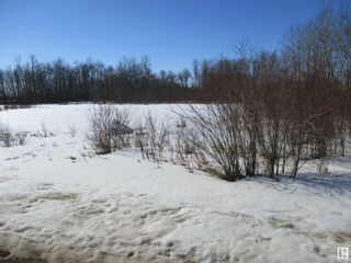 Photo 17: Highway 28 highway 827 Thorhild county: Rural Thorhild County Vacant Lot/Land for sale : MLS®# E4334465