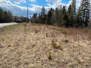 Photo 5: Lot 368 Mark Road in Riverton: 108-Rural Pictou County Vacant Land for sale (Northern Region)  : MLS®# 202308648