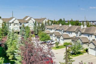 Photo 36: 405 2000 Applevillage Court SE in Calgary: Applewood Park Apartment for sale : MLS®# A1244154