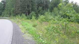 Photo 5: Dawson Road in Ellershouse: Hants County Vacant Land for sale (Annapolis Valley)  : MLS®# 202317664