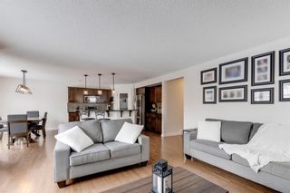 Photo 11: 719 Coopers Square SW: Airdrie Detached for sale : MLS®# A1207690