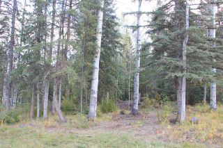Photo 2: LOT 49 WOLFE ROAD in 100 Mile House: Horse Lake Land Only for sale (100 Mile House (Zone 10))  : MLS®# R2308751