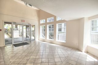 Photo 19: 207 3628 RAE Avenue in Vancouver: Collingwood VE Condo for sale in "RAINTREE GARDENS" (Vancouver East)  : MLS®# R2692505
