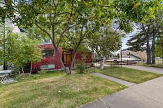 Photo 30: 2030 Alexander Street SE in Calgary: Ramsay Detached for sale : MLS®# A2055192