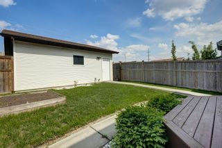 Photo 29: 118 Cranberry Close SE in Calgary: Cranston Detached for sale : MLS®# A2050518