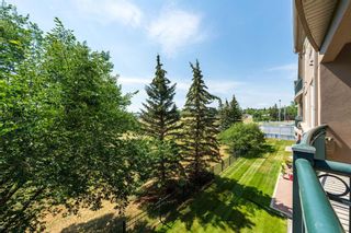 Photo 16: 305 495 78 Avenue SW in Calgary: Kingsland Apartment for sale : MLS®# A1244174