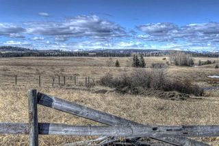 Photo 8: 215025 Plummers Road W: Rural Foothills County Detached for sale : MLS®# A2052900