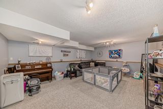 Photo 12: 1028 Mckinnon Drive NE in Calgary: Mayland Heights Detached for sale : MLS®# A2127341
